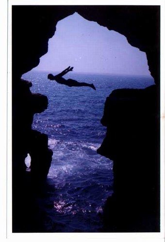 qui veu ce  tu�? il le suit